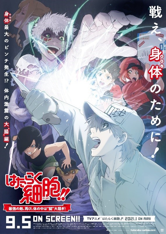 『「はたらく細胞!!」 最強の敵、再び。体の中は “腸”大騒ぎ!』キービジュアル (C)清水茜/講談社・アニプレックス・davidproduction