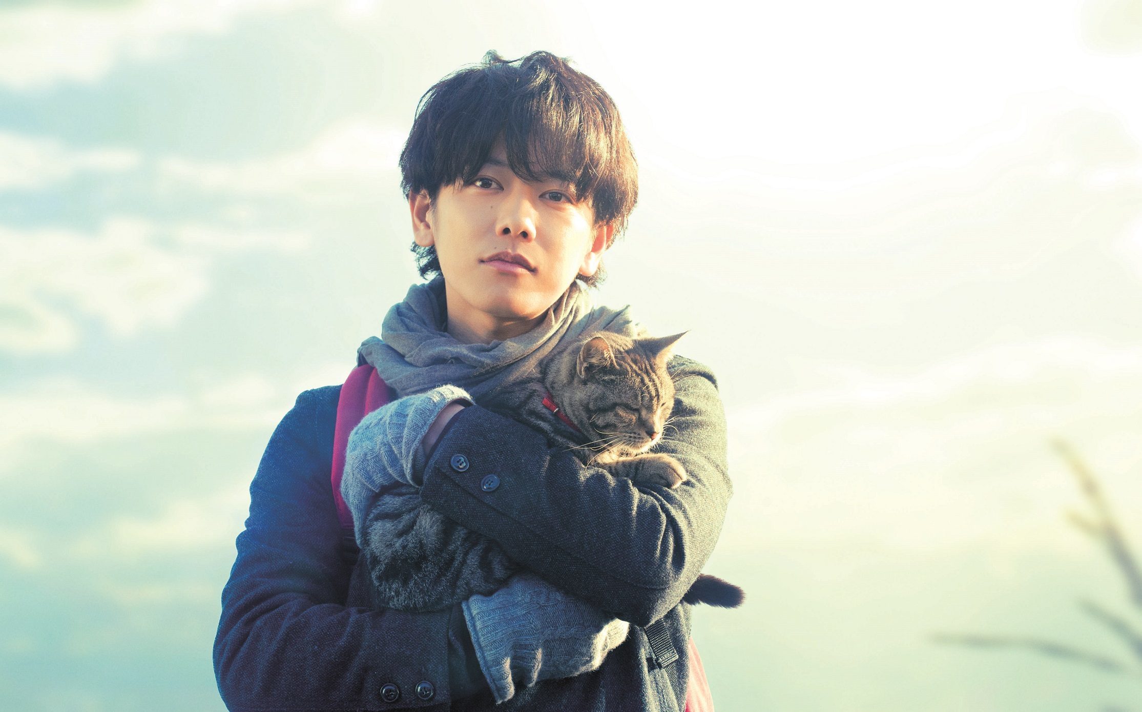 『世界から猫が消えたなら』より 　©2016 映画『世界から猫が消えたなら』製作委員会
