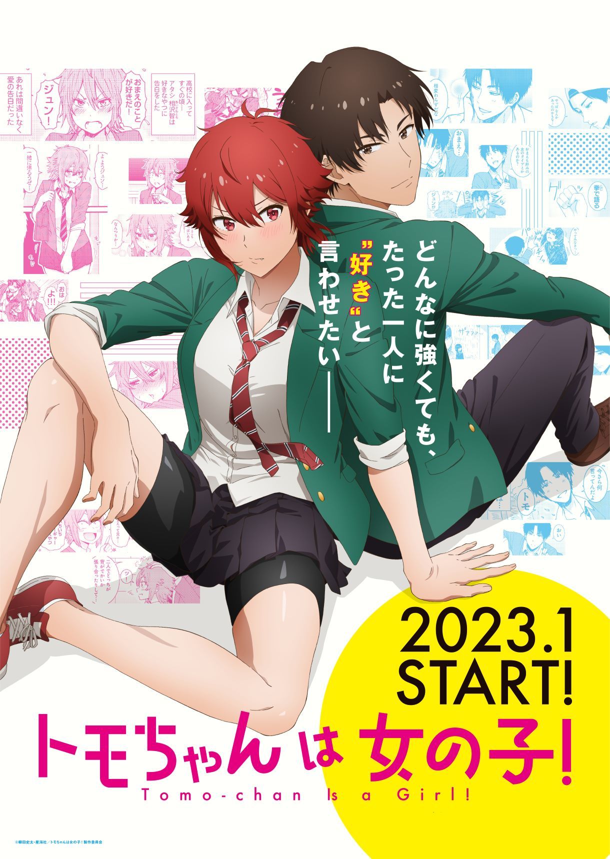 『トモちゃんは女の子！』 （C）柳田史太・星海社／トモちゃんは女の子！製作委員会