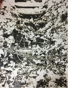 市川 孝典 個展 grace note