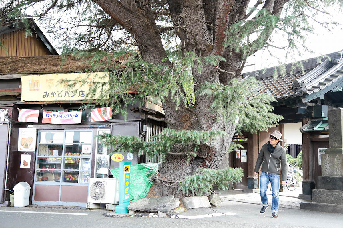 木を見て店を見ず