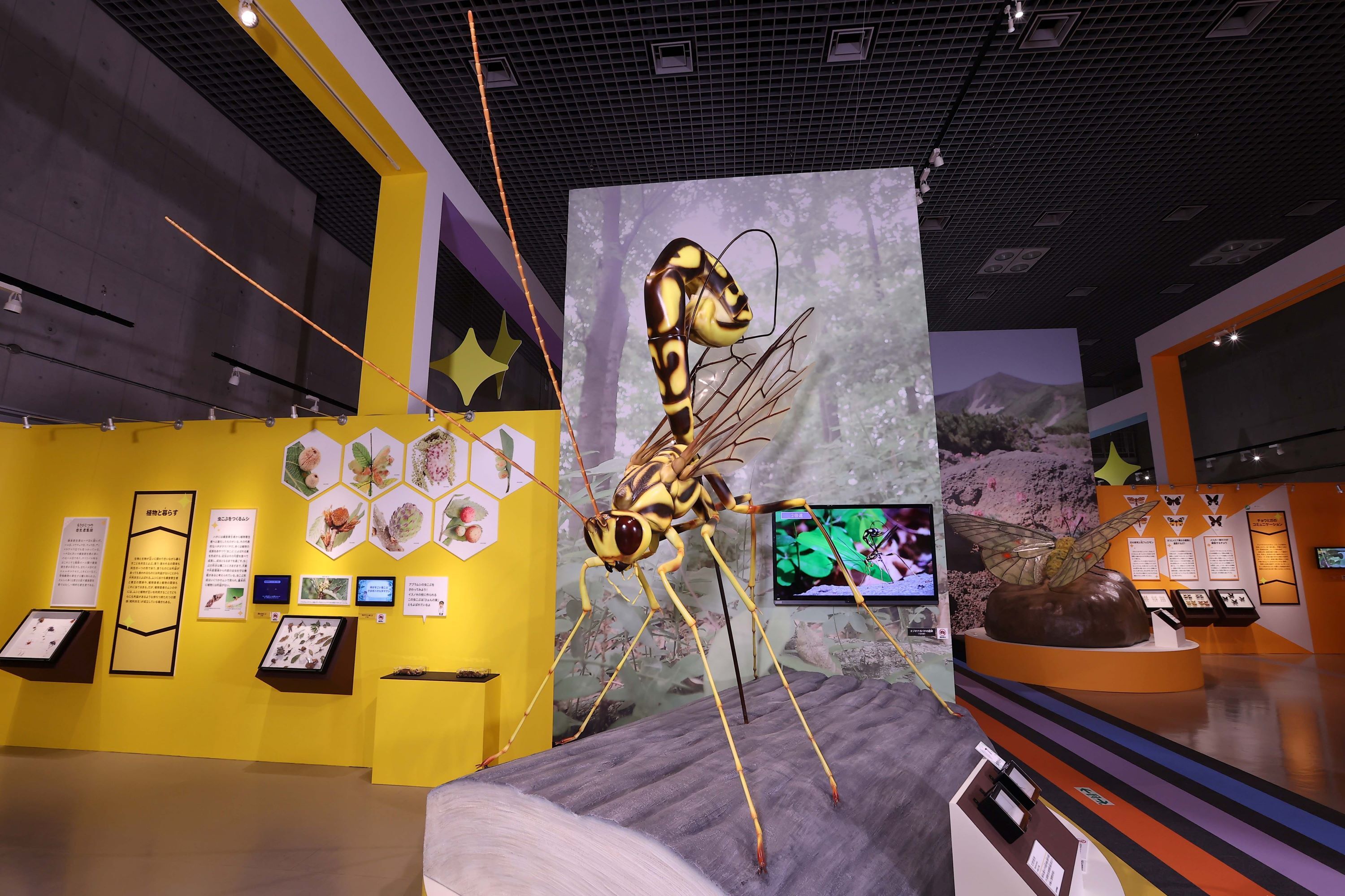 会場の様子1（東京展）
