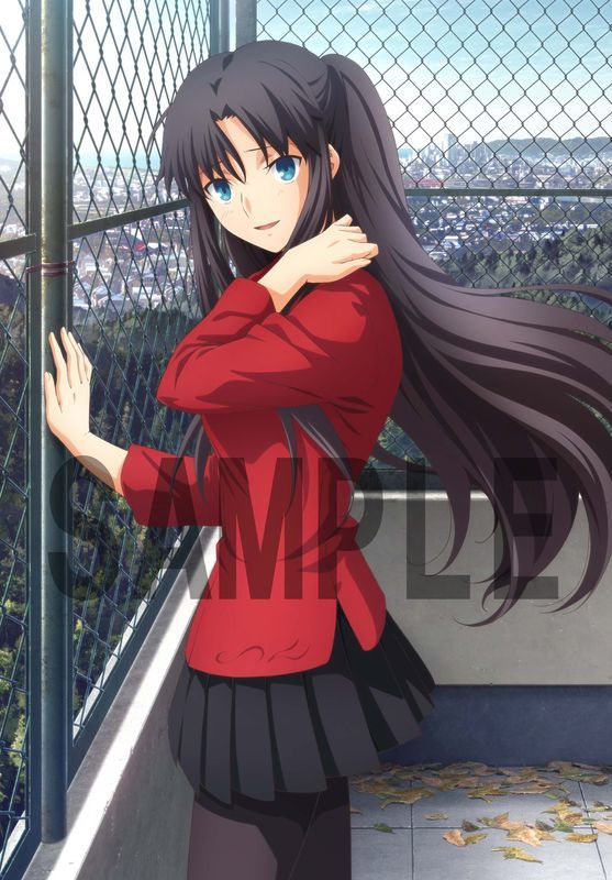 (C)TYPE-MOON・ufotable・FSNPC
