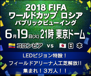 「フィールドアリーナビジョン」が2基特設され、以前の開催より画面が見やすくなった