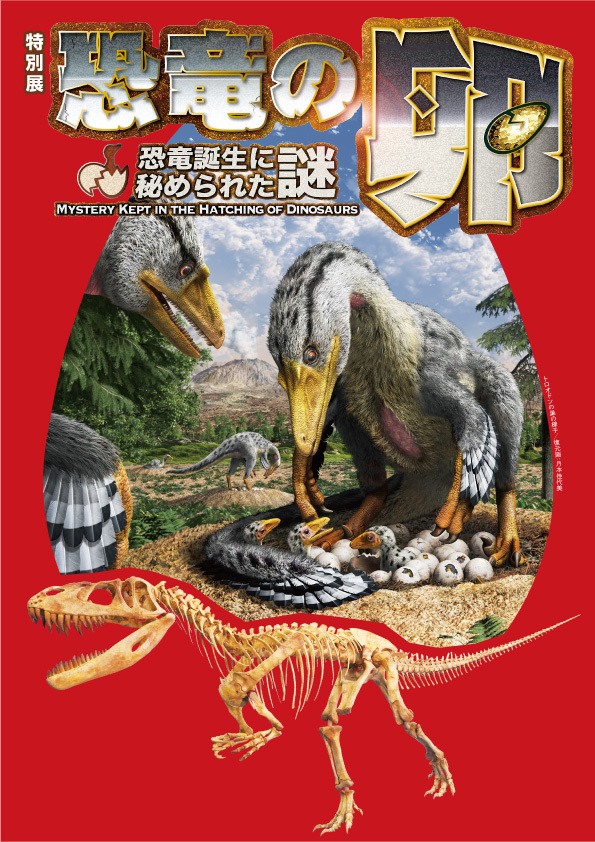 恐竜の卵や巣の化石 全身骨格が一同に集結 恐竜の卵 恐竜誕生に秘められた謎 が大阪市立自然史博物館で開催中 Spice エンタメ特化型情報メディア スパイス