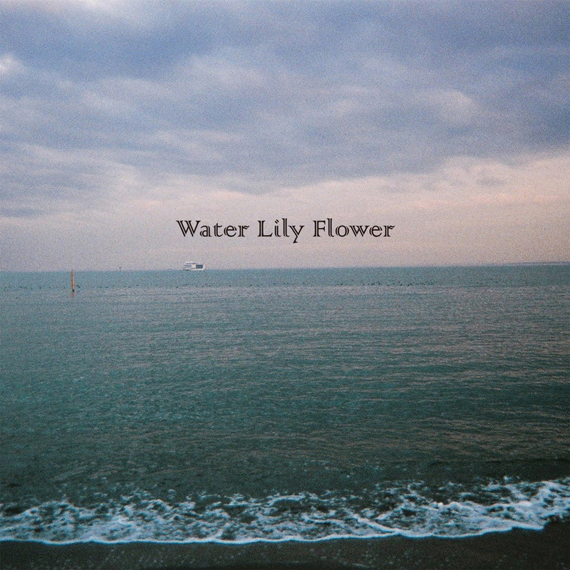 フジファブリック「WaterLilyFlower」配信ジャケット