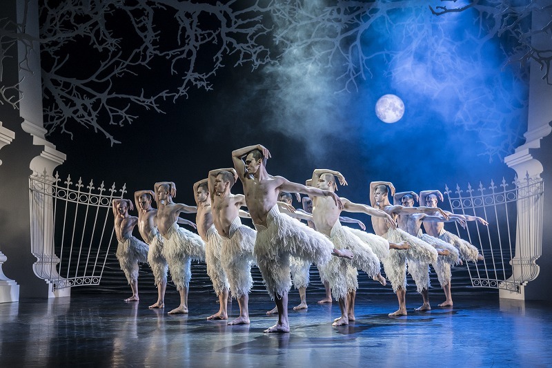 2019年上演マシュー・ボーンの『白鳥の湖』 （C)Johan Persson／白鳥役を全員男性が演じ、日本でもマシュー・ボーンの人気を不動のものとした代表作。