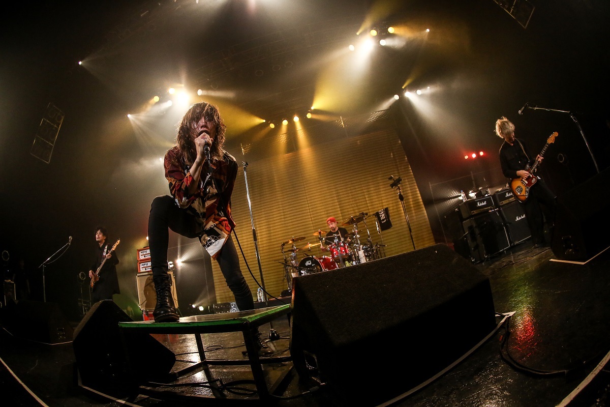 softya_srcl-12312-sk
