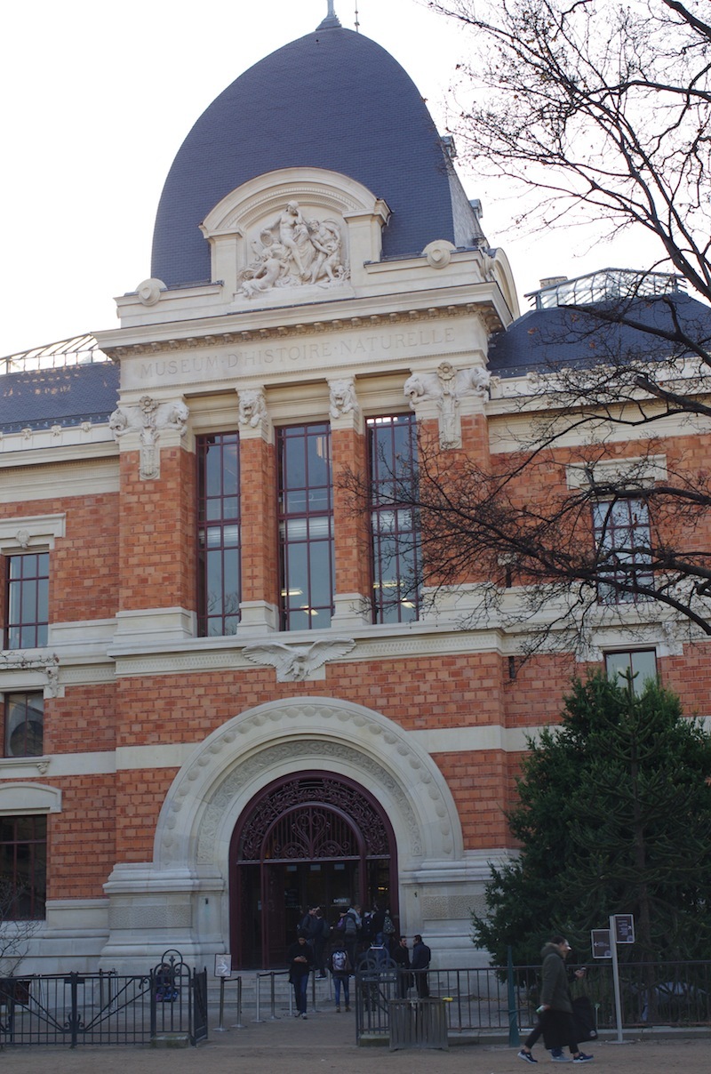 古生物学比較解剖学展示館