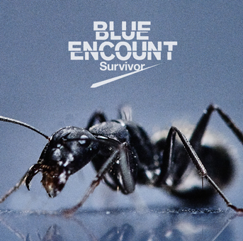 BLUE ENCOUNT　「Survivor」