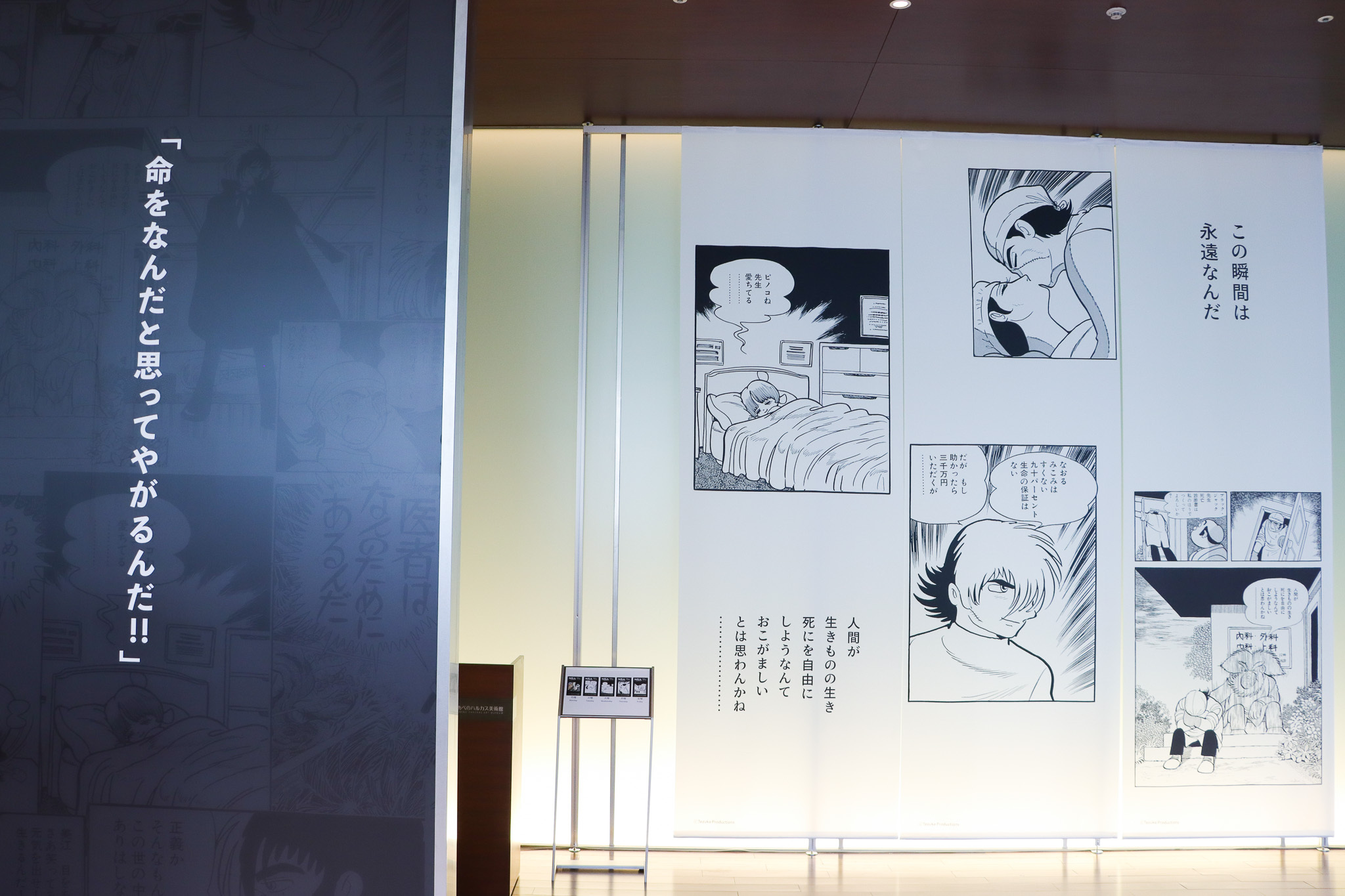 (c)Tezuka Productions