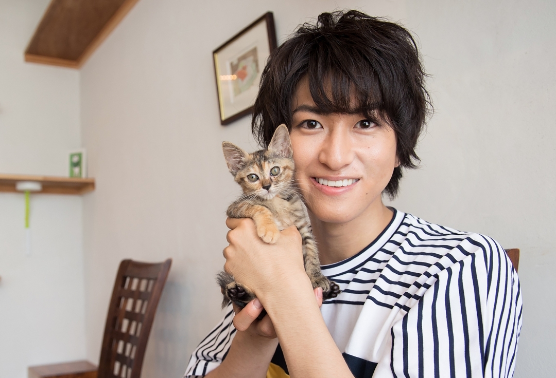 相葉裕樹と子ねこ