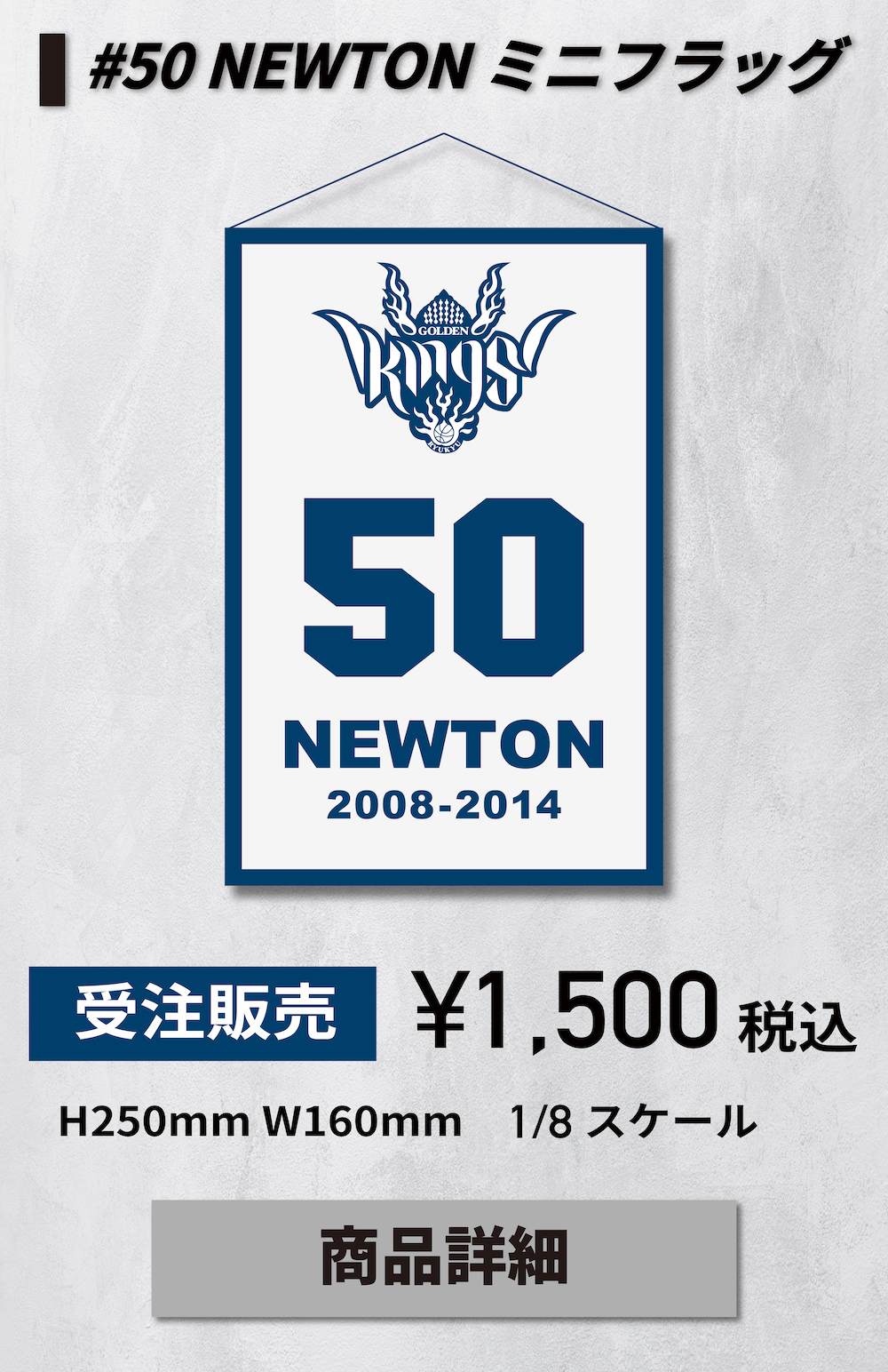 #50 NEWTON ミニフラッグ
