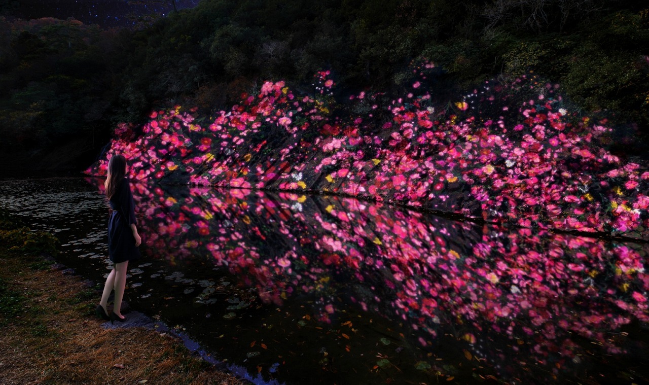 増殖する生命の石壁 - 紫雲山 /  Ever Blossoming Life Rock Wall  - Mt. Shiun