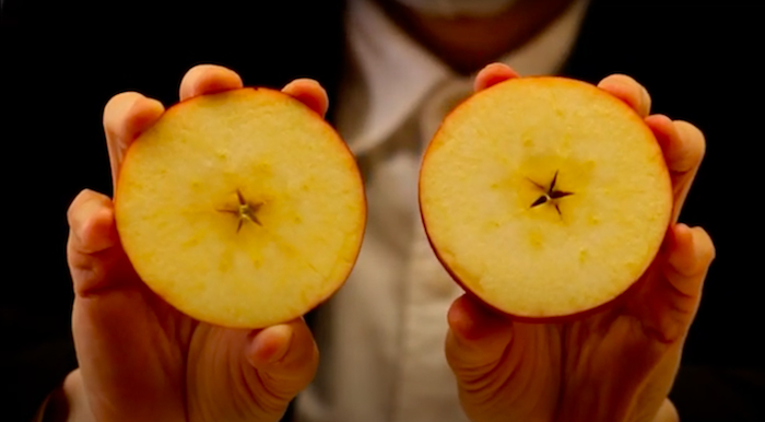 【セタビチャンネルJr.】「こども美術大学　第1話　りんごを描く　～あなたは本当のりんごを知っていますか？」