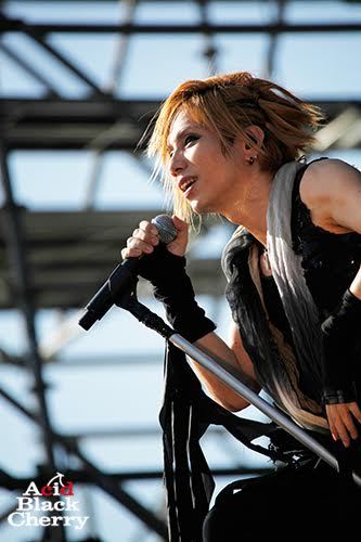 Acid Black Cherry