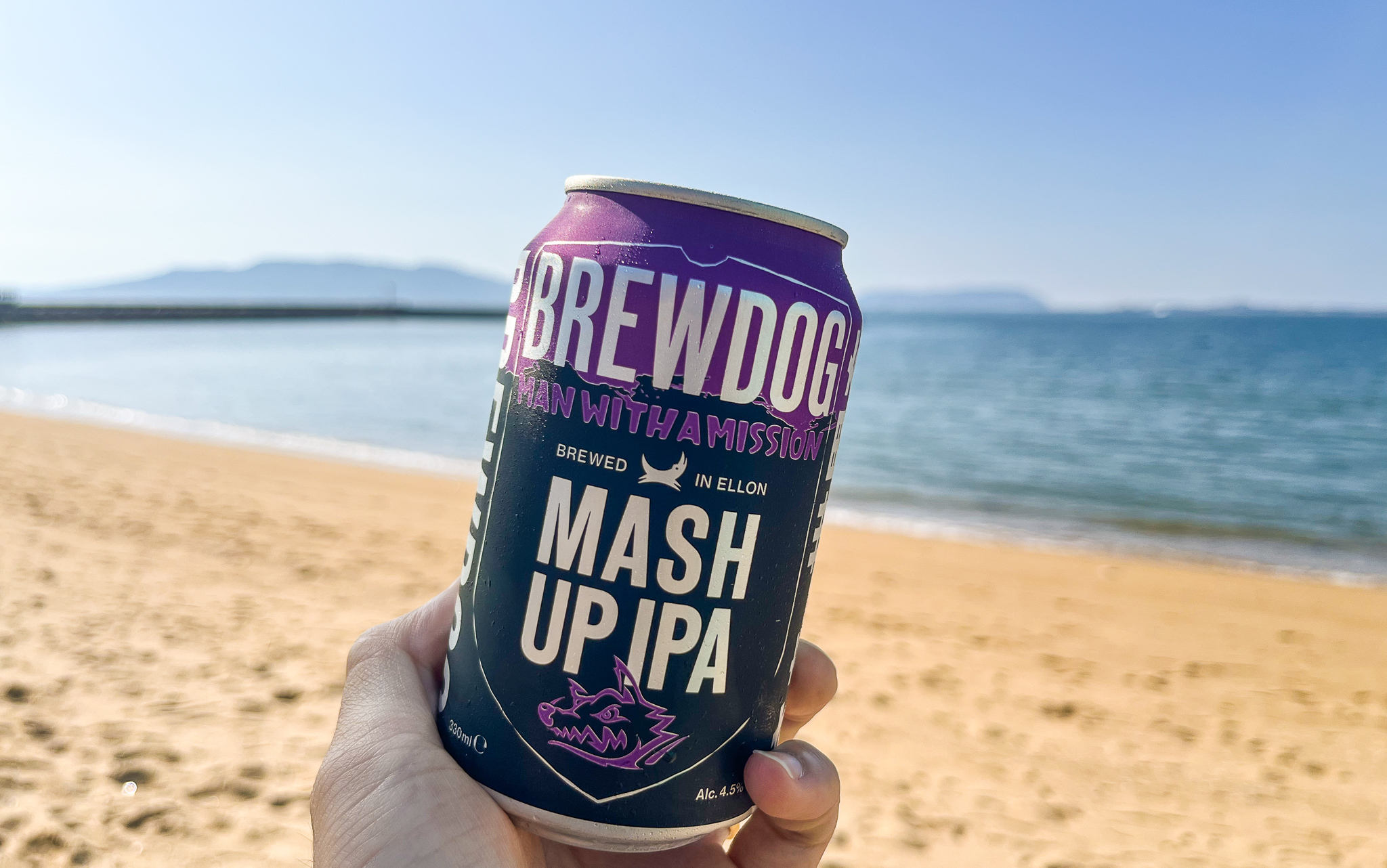 MAN WITH A MISSIONコラボのクラフトビール「BREWDOG」 撮影＝SPICE編集部