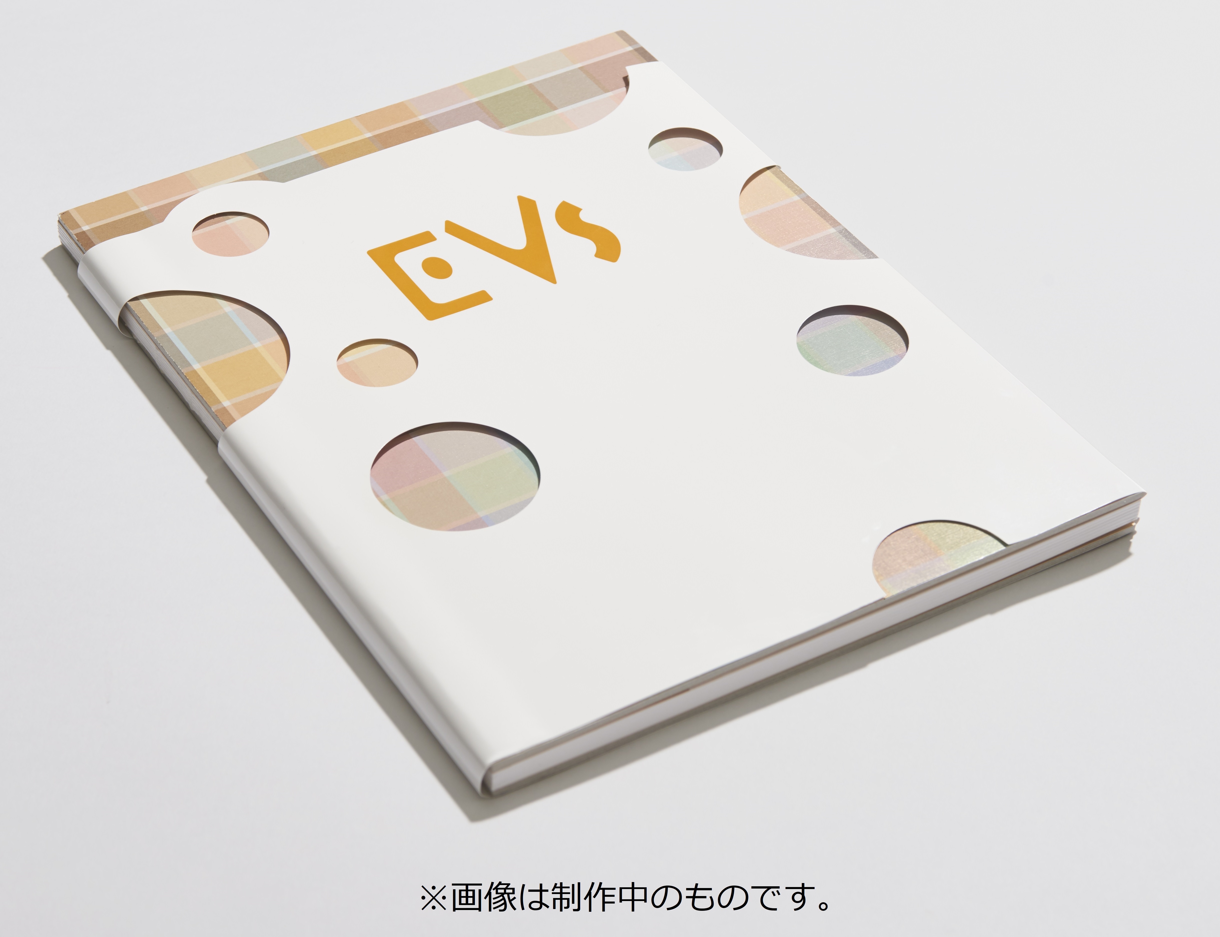 ポケモン イーブイとその進化形9匹が ヒグチユウコら9組のクリエイターとコラボ Evs Cafe 六本木に期間限定オープン Spice エンタメ特化型情報メディア スパイス