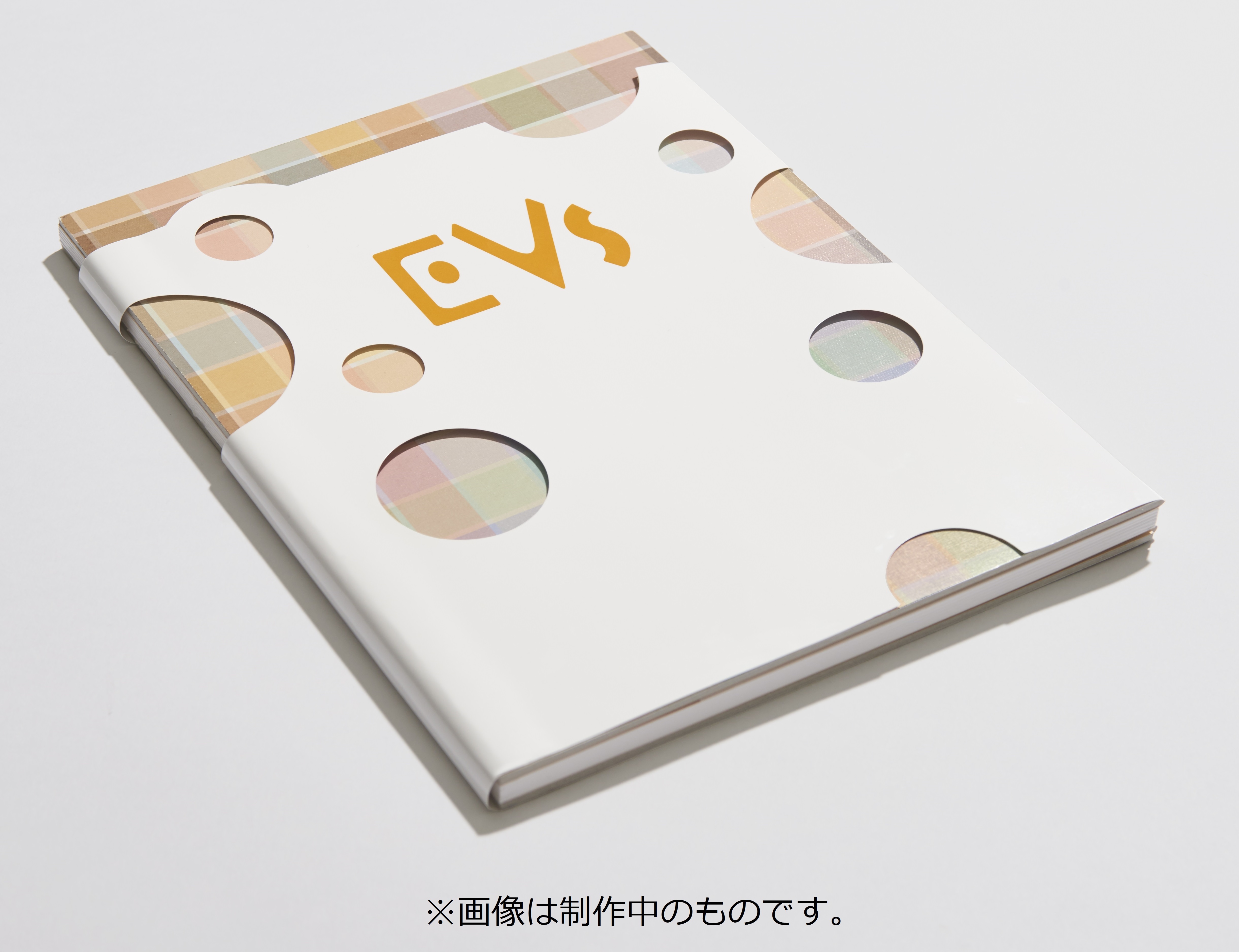 初回限定書籍『EVs（イーブイズ）』会場先行発売／1,500円（税抜）