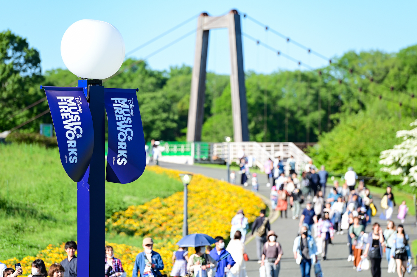 12,000発の花火と極上の音響でディズニーミュージックが夜空を