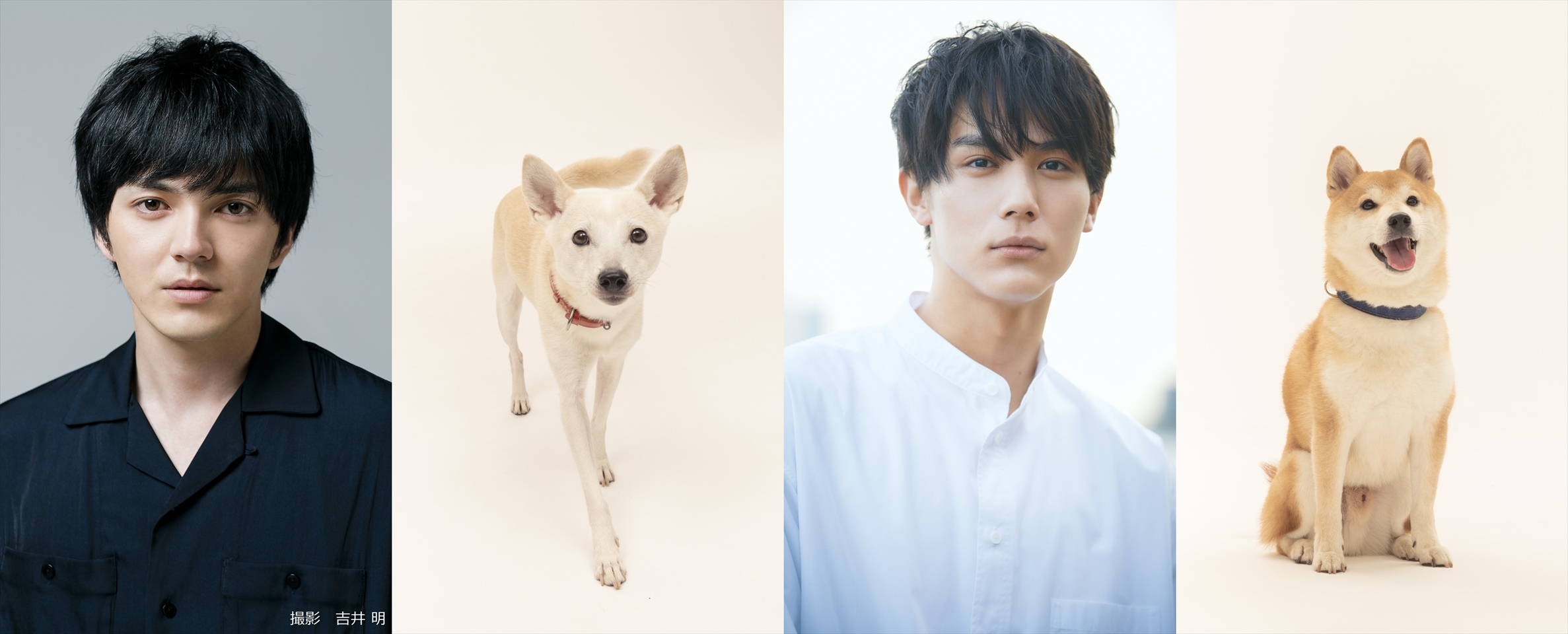 林遣都 中川大志 篠原哲雄監督の映画 犬部 が21年公開へ 動物を愛し 救おうとしている方が沢山います Spice エンタメ特化型情報メディア スパイス