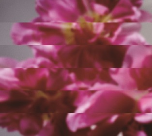 値下げしました Mondo Grosso - 何度でも新しく生まれる 〕2LP 値下げしました Mondo Grosso - 何度でも新しく生まれる 〕2LP
