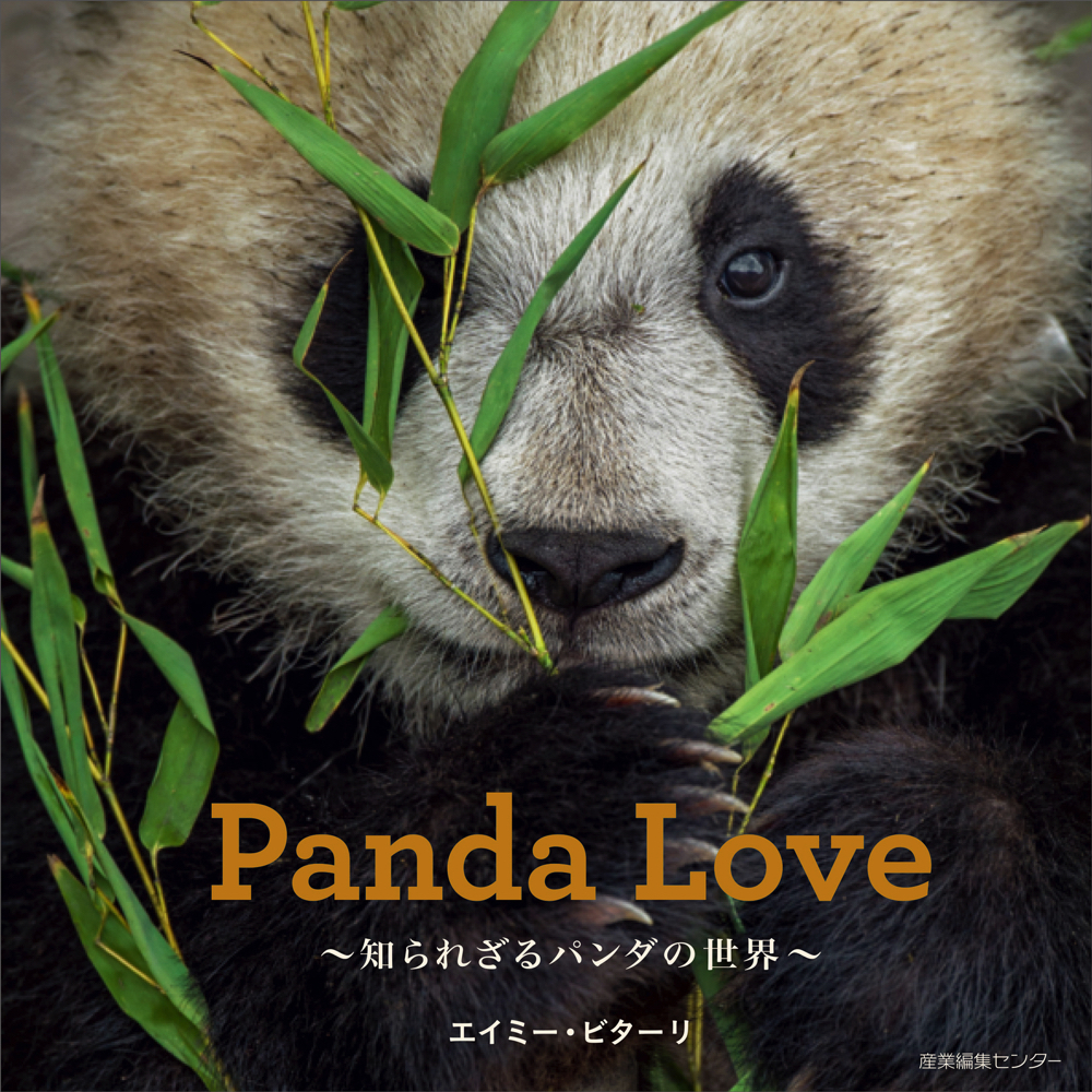 かわいいだけじゃない 野生動物としてのパンダに迫る写真集 Panda Love 知られざるパンダの世界 Spice エンタメ特化型情報メディア スパイス
