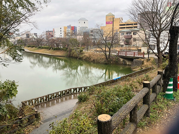 丹波亀山城跡に向かう途中には、お堀の跡が。水鳥が気持ち良さそうに止まっていました。