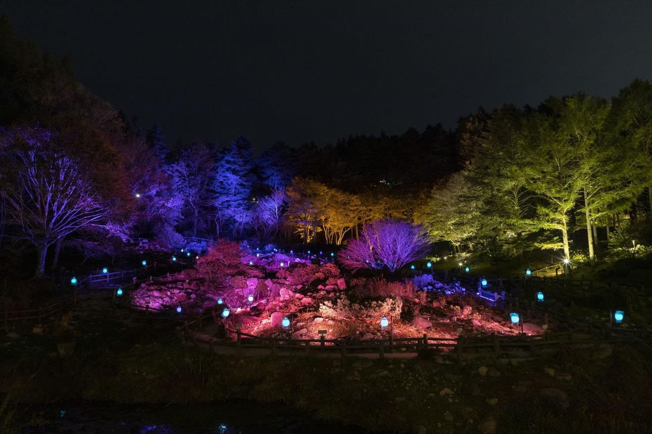 髙橋匡太《Glow with Night Garden Project in Rokko 提灯行列ランドスケープ》 六甲ミーツ・アート 芸術散歩 2019 開催時の様子