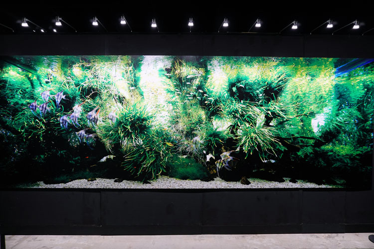 幻想的な水景に驚嘆 自然の神秘が詰まった Nature Aquarium Exhibition 21 Tokyo レポート Spice エンタメ特化型情報メディア スパイス