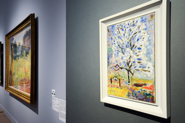 手前／ピエール・ボナール《花咲くアーモンドの木》 1946-47年 油彩、カンヴァス オルセー美術館（ポンピドゥー・センター、国立近代美術館寄託）