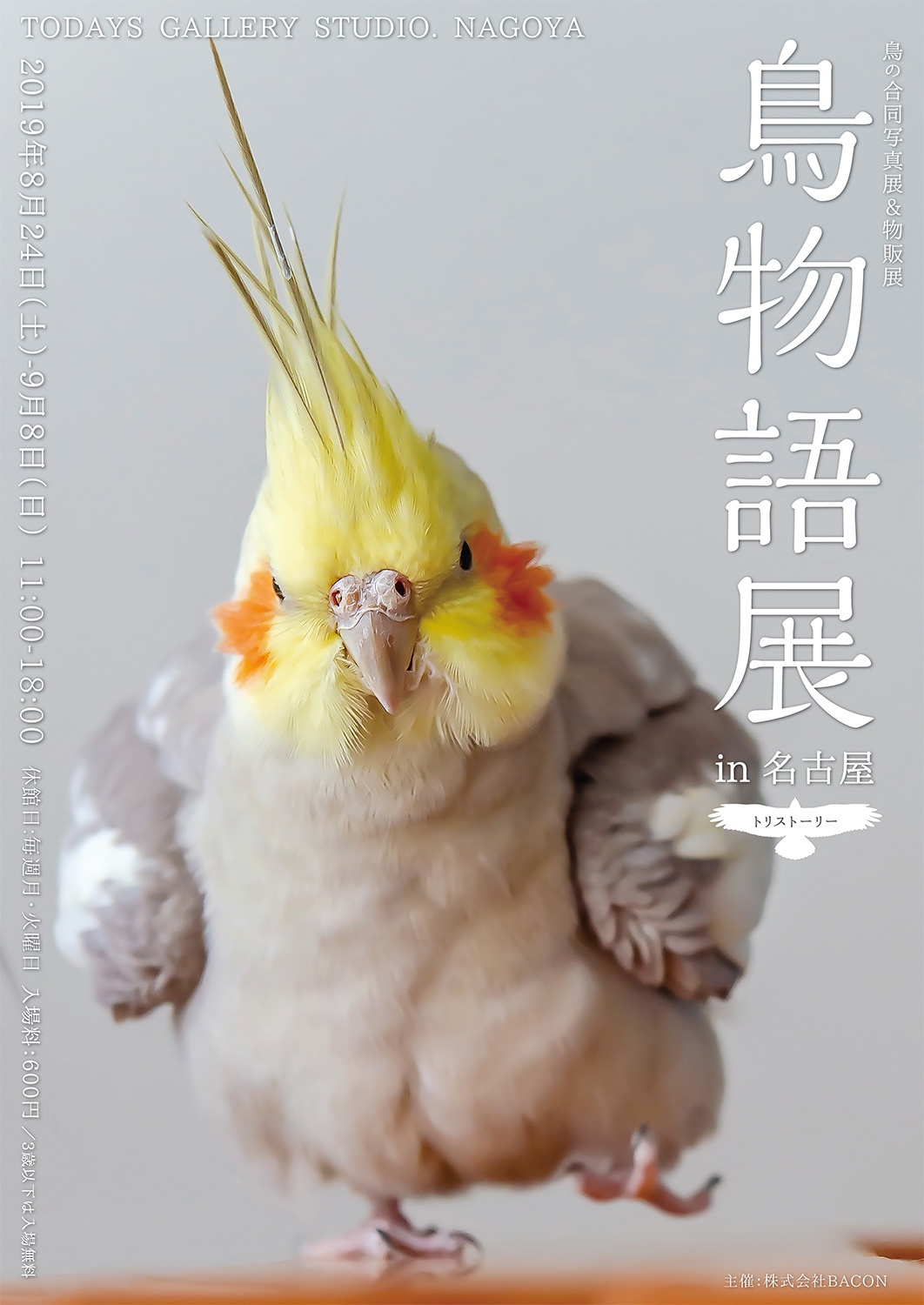 鳥の合同写真＆物販展『鳥物語トリストーリー展 in 名古屋』 愛嬌たっぷりインコから、勇猛な野鳥まで | SPICE - エンタメ特化型情報