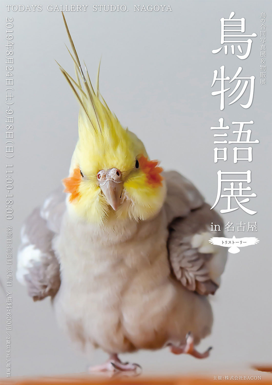 鳥の合同写真＆物販展『鳥物語トリストーリー展 in 名古屋』 愛嬌 ...