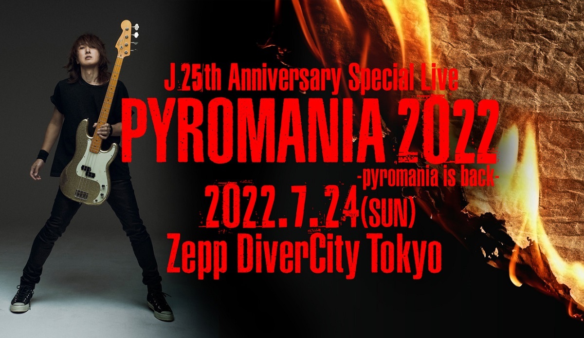 25th L'Anniversary LIVE [Blu-ray] z2zed1b - その他