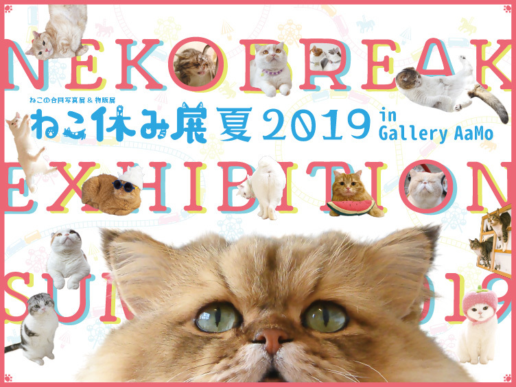 人気猫の写真展 物販展 ねこ休み展 夏 19 In Gallery mo 夏休みに東京ドームシティで開催 Spice エンタメ特化型情報メディア スパイス