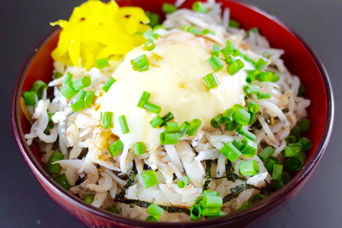 湘南名物の「温玉しらす丼」。絶品です