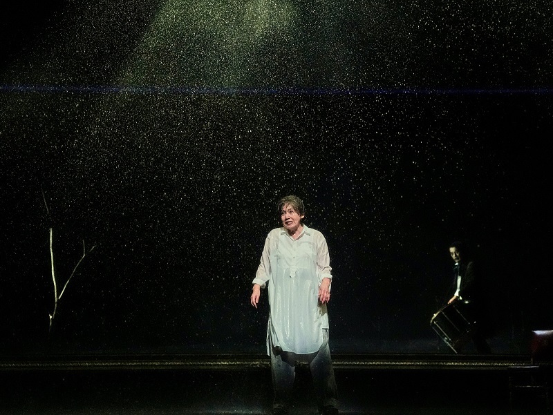 Bunkamura Production 2025／DISCOVER WORLD THEATRE vol.15 『リア王』                         撮影：細野晋司