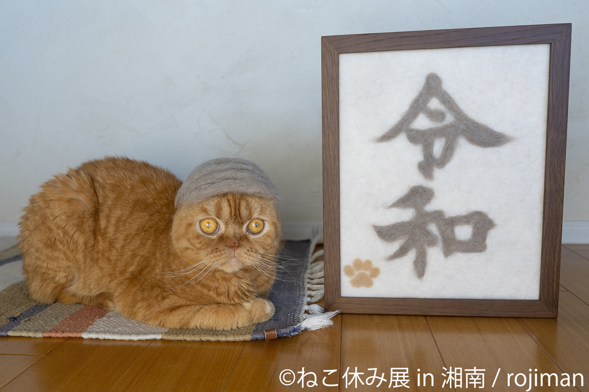 猫の合同写真展 物販展 ねこ休み展 In 湘南 が開催 大型フォトスポットや謎解きイベントなど盛り沢山 Spice エンタメ特化型情報メディア スパイス