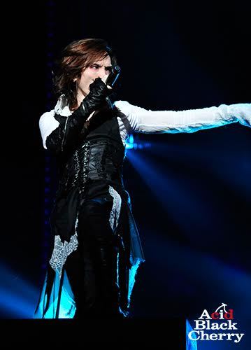 Acid Black Cherry