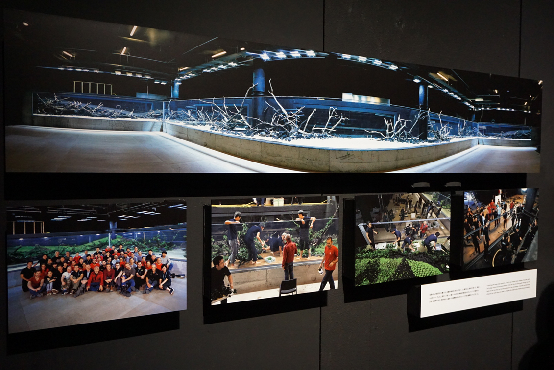 写真と水槽で体感する、大自然の美しさ 『天野尚 NATURE AQUARIUM展