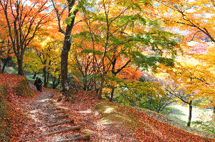 用作公園の紅葉を浴びた後は、滝と秋の薬膳料理を満喫