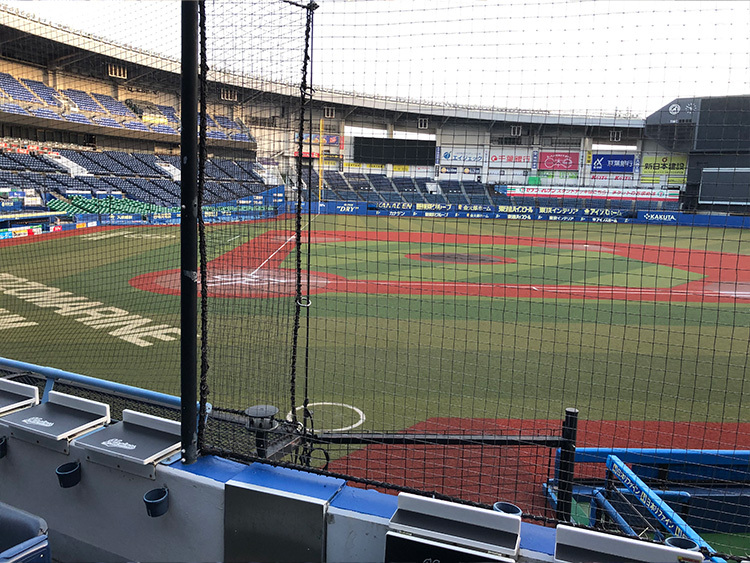 内野指定席VSペア、内野指定席SSペアからの眺望例