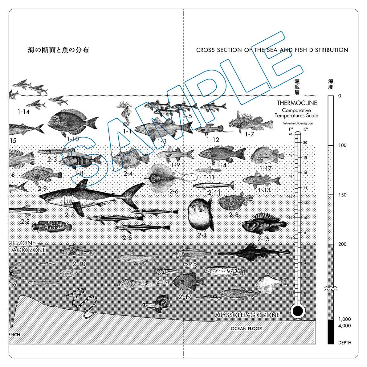 魚分布図チケットホルダー