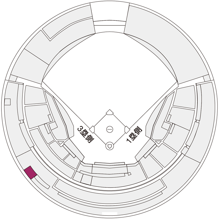 フロア4（2階席）3塁側屋根付エリアに設置される