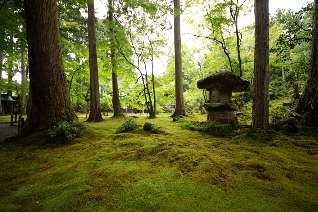 三千院 比叡山の麓に堂宇を並べる天台宗のお寺