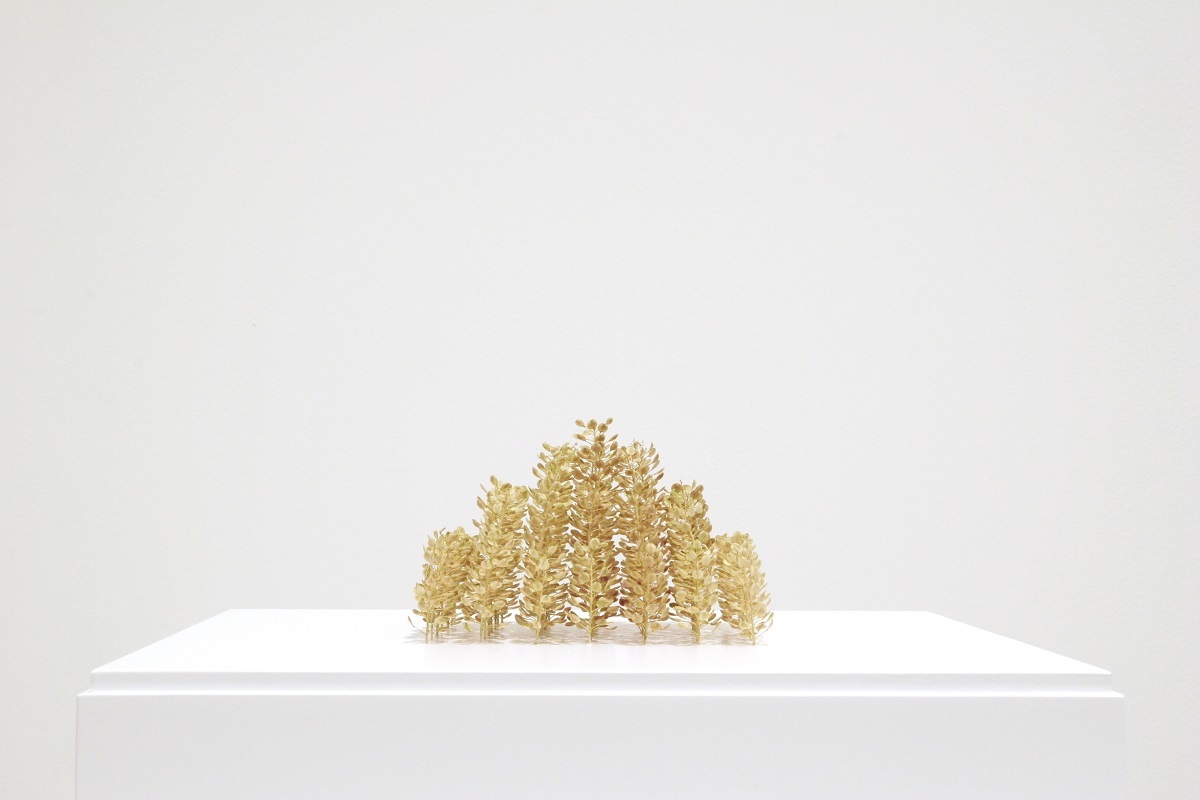 クリスティアーネ・レーア《小さな階段の形》2014年　植物の茎　H65×W105×D105mm