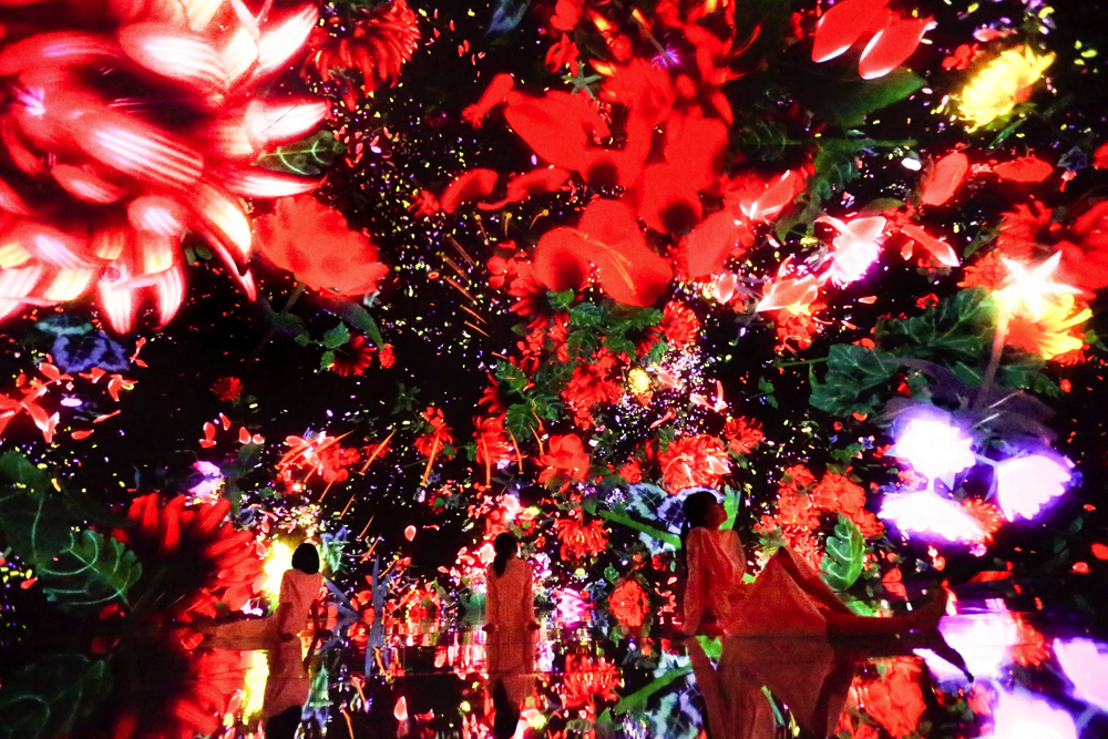 Floating in the Falling Universe of Flowers teamLab, 2016-2018, Interactive Digital Installation, Endless, Sound: Hideaki Takahashi