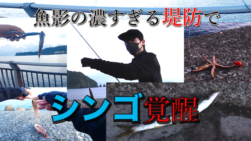 バンドマン釣り動画 Spice Fishing Party 第３回が公開に 今回は堤防五目釣りであの人が大活躍 Spice エンタメ特化型情報メディア スパイス