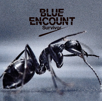 BLUE ENCOUNT　「Survivor」