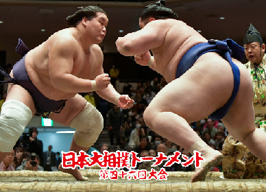 過酷な勝ち抜き戦を制するのは？『日本大相撲トーナメント』は2/6開催